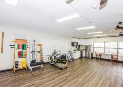 fitness and treatment equip